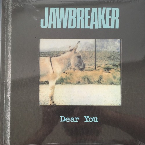 Виниловая пластинка Jawbreaker, Dear You