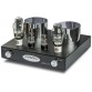 Интегральный усилитель мощности Fezz Audio Mira Ceti 300b Black ice