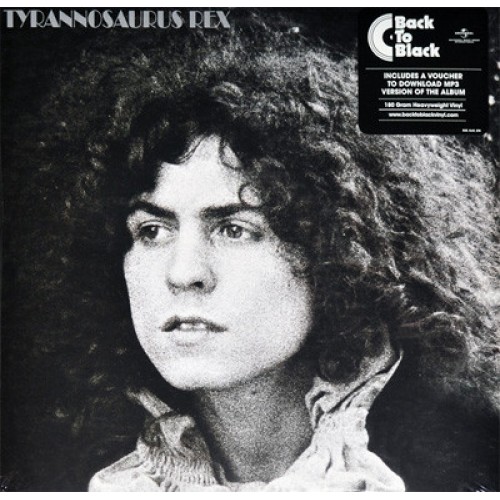 Виниловая пластинка Tyrannosaurus Rex, A Beard Of Stars (Back To Black)