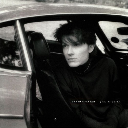 Виниловая пластинка Sylvian, David, Gone To Earth