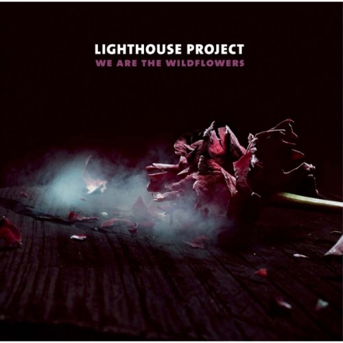 Виниловая пластинка Lighthouse Project WE ARE THE WILDFLOWERS