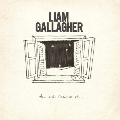 Виниловая пластинка Liam Gallagher - All You're Dreaming Of… (Limited Black Vinyl/1 Track)