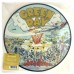 Виниловая пластинка Green Day DOOKIE (Limited Picture Vinyl)