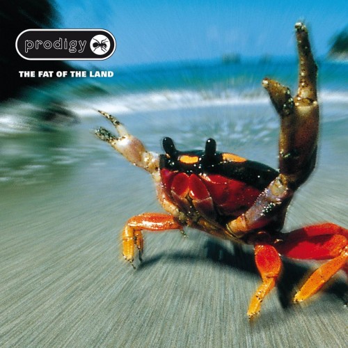 Виниловая пластинка The Prodigy - The Fat Of The Land