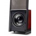 Напольная акустика Martin Logan Expression ESL 13A Basalt Black