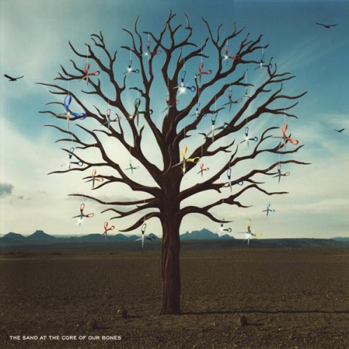 Виниловая пластинка WM Biffy Clyro Opposites (180 Gram)