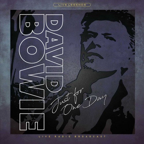 Виниловая пластинка David Bowie - Just For One Day (Transparent Crystal Vinyl)