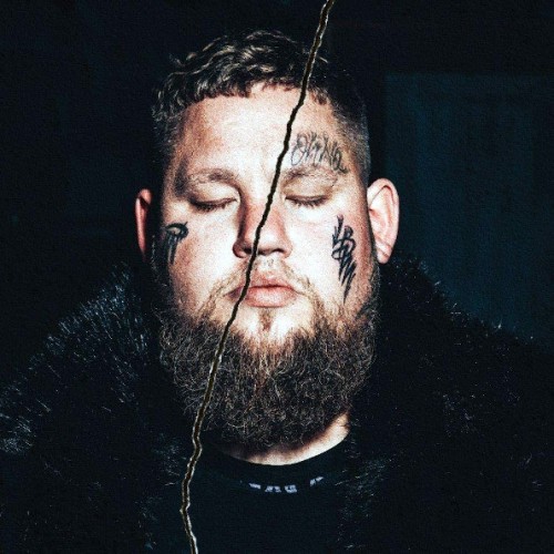 Виниловая пластинка Rag'n'Bone Man — Life By Misadventure (180 Gram Black Vinyl/Gatefold/Booklet)