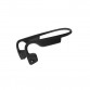 Наушники AfterShokz Trekz Titanium Black (AS600BK)