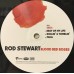 Виниловая пластинка Stewart, Rod, Blood Red Roses