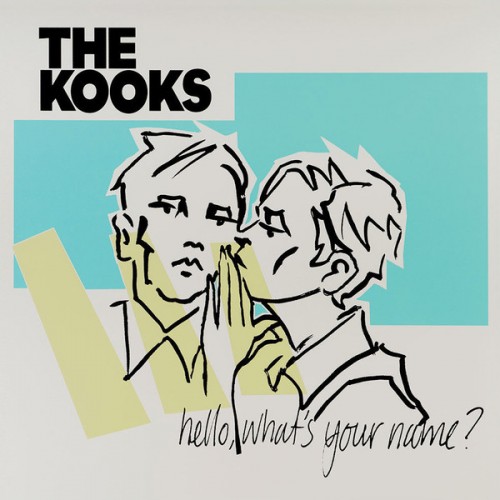 Виниловая пластинка The Kooks, Hello, What's Your Name?