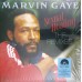 Виниловая пластинка Sony Marvin Gaye Sexual Healing: The Remixes (Limited Red Smoke Vinyl)