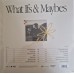 Виниловая пластинка Grennan Tom - What Ifs & Maybes (Black Vinyl LP)