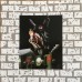 Виниловая пластинка Roger Waters — THE WALL - LIVE IN BERLIN (RSD LIM.ED.,CLEAR VINYL) (2LP)