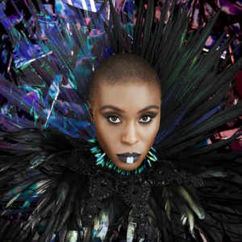 Виниловая пластинка Laura Mvula THE DREAMING ROOM (12" Vinyl standard weight)