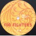 Виниловая пластинка Foo Fighters SKIN AND BONES (180 Gram)