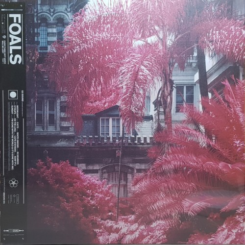 Виниловая пластинка Foals, Everything Not Saved Will Be Lost Pt. 1 (180 Gram Black Vinyl/Gatefold)