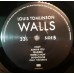 Виниловая пластинка Sony LOUIS TOMLINSON, WALLS (Black Vinyl)