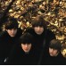 Виниловая пластинка Beatles, The, Beatles For Sale