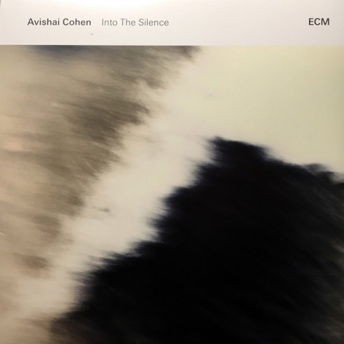 Виниловая пластинка Avishai Cohen INTO THE SILENCE