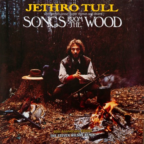 Виниловая пластинка Jethro Tull SONGS FROM THE WOOD