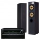 Домашний кинотеатр Onkyo TX-NR1010 black + Bowers & Wilkins 684 black ash