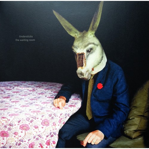 Виниловая пластинка Tindersticks — WAITING ROOM (LIM.ED.)(LP+DVD)