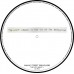 Виниловая пластинка Manic Street Preachers THE HOLY BIBLE 20 (Picture disc/Remastered)