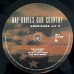 Виниловая пластинка Sony Ray Davies Our Country: Americana Act 2 (Gatefold)