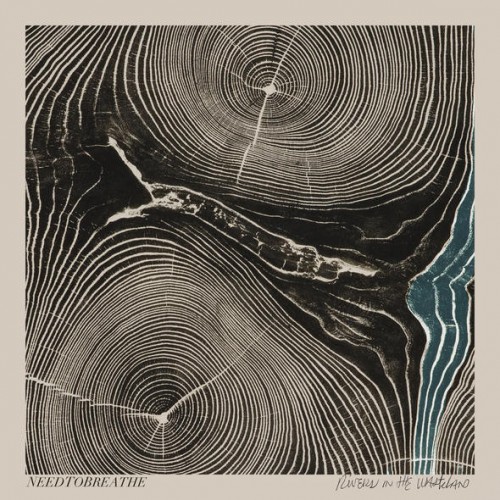 Виниловая пластинка Needtobreathe RIVERS IN THE WASTELAND