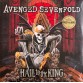 Виниловая пластинка Avenged Sevenfold - Hail To The King (Coloured Vinyl 2LP)