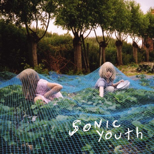 Виниловая пластинка Sonic Youth, Murray Street