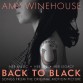 Виниловая пластинка Amy Winehouse - Back To Black: Songs From The Original Motion Picture (Black Vinyl LP)