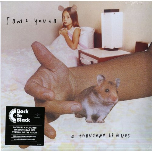 Виниловая пластинка Sonic Youth, A Thousand Leaves