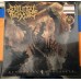 Виниловая пластинка Skeletal Remains — DEVOURING MORTALITY (LP+CD)