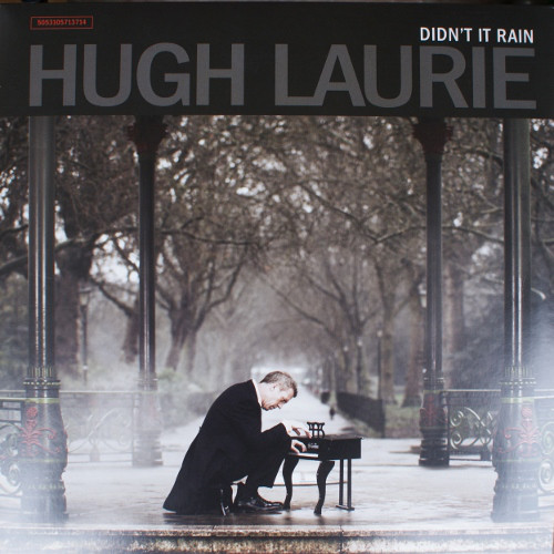 Виниловая пластинка Hugh Laurie DIDN'T IT RAIN (180 Gram)