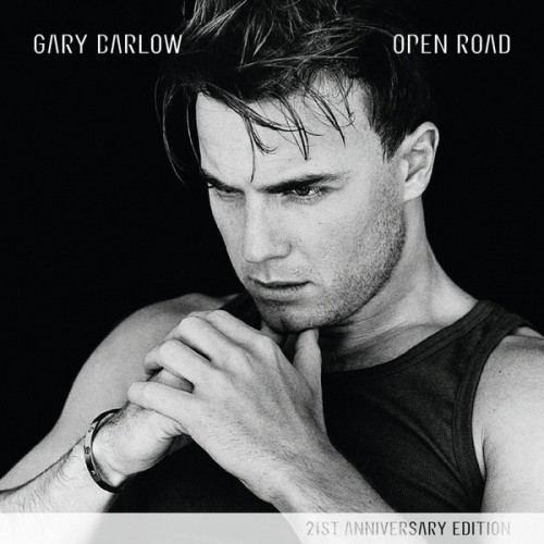 Виниловая пластинка Sony Gary Barlow Open Road (180 Gram)