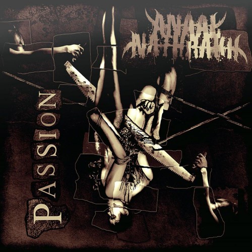 Виниловая пластинка Anaal Nathrakh - Passion