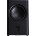 Активный сабвуфер Perlisten Audio D215s Piano black