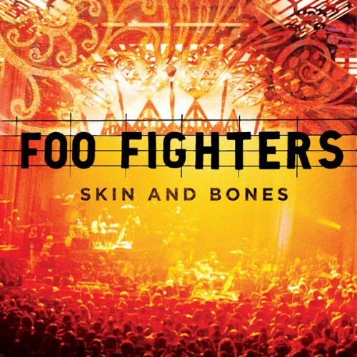 Виниловая пластинка Foo Fighters SKIN AND BONES (180 Gram)