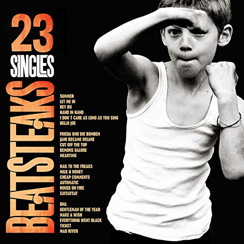 Виниловая пластинка Beatsteaks 23 SINGLES