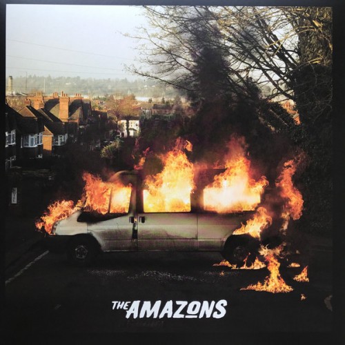 Виниловая пластинка The Amazons, The Amazons (Colour LP)