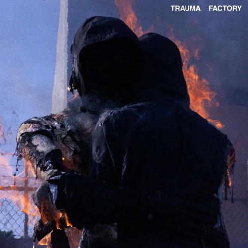 Виниловая пластинка Nothing, Nowhere - Trauma Factory (Black Vinyl)