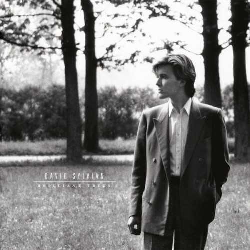 Виниловая пластинка Sylvian, David, Brilliant Trees