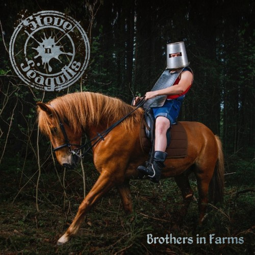 Виниловая пластинка Steve‘n’Seagulls, Brothers In Farms