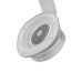 Наушники Bang & Olufsen Beoplay H95 Grey Mist