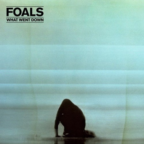 Виниловая пластинка WM Foals What Went Down (180 Gram/Gatefold)