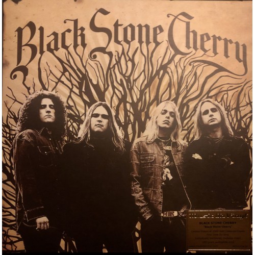 Виниловая пластинка Black Stone Cherry — BLACK STONE CHERRY (LIMITED ED.,NUMBERED,GOLD VINYL) (LP)