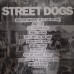 Виниловая пластинка Sony Street Dogs Stand For Something Or Die For Nothing (LP+CD/180 Gram Black Vinyl/Gatefold)