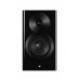 Полочная акустика Dynaudio Focus 10 Black High Gloss